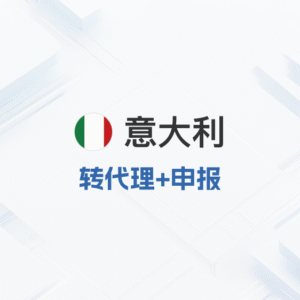 意大利VAT转代理申报